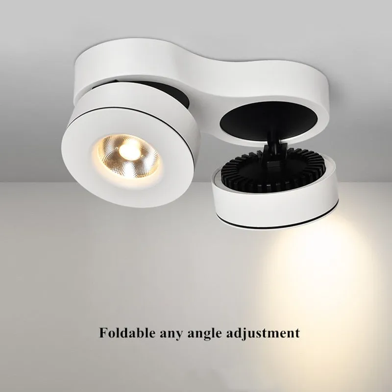 2020 High quality SUPER bright Dimmable Surface Mounted LED Downlights 20W 24W 30W 36W COB LED Ceiling Lamp Spot Lights AC110-220V