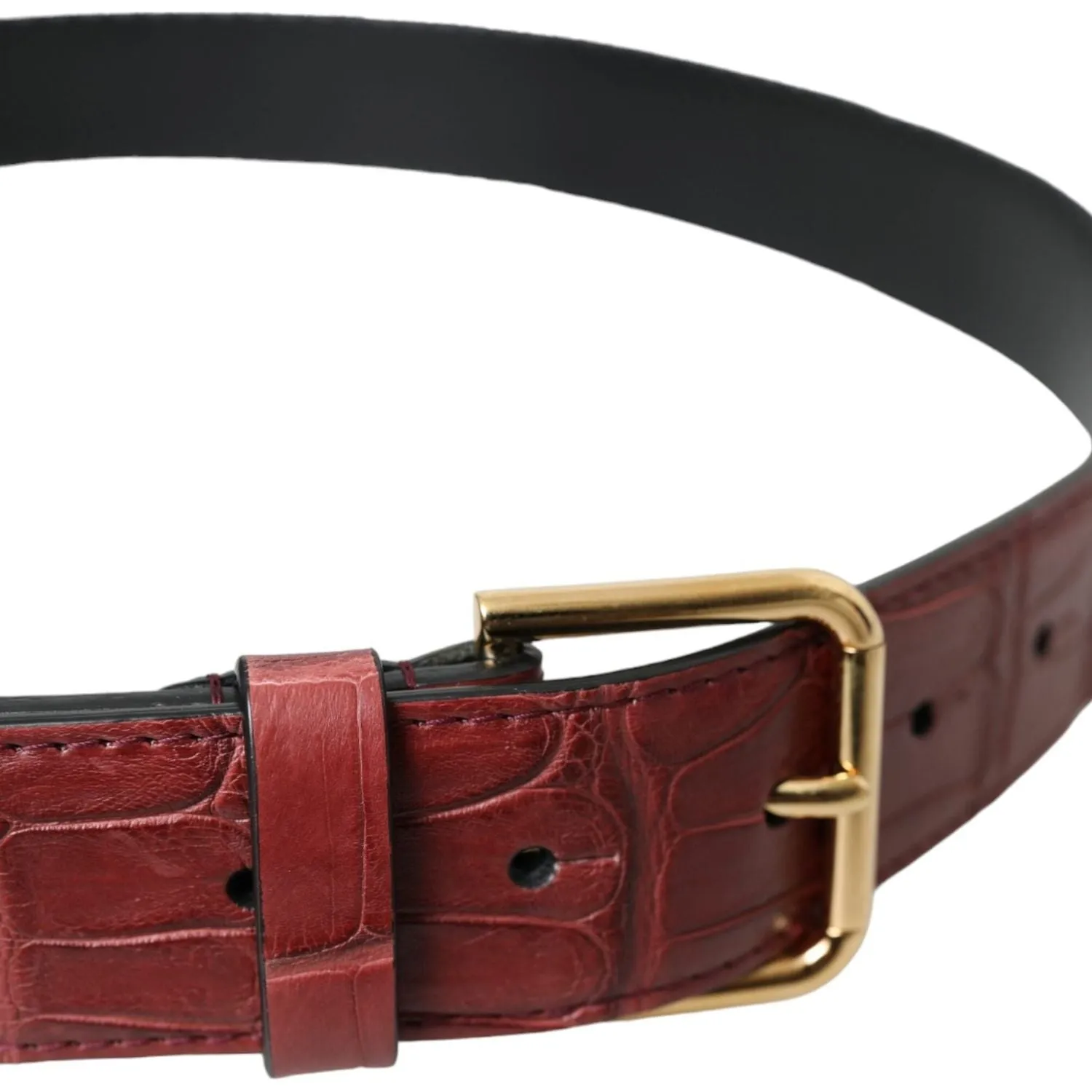 Dolce & Gabbana Brown Alligator Leather Studded Metal Buckle Belt