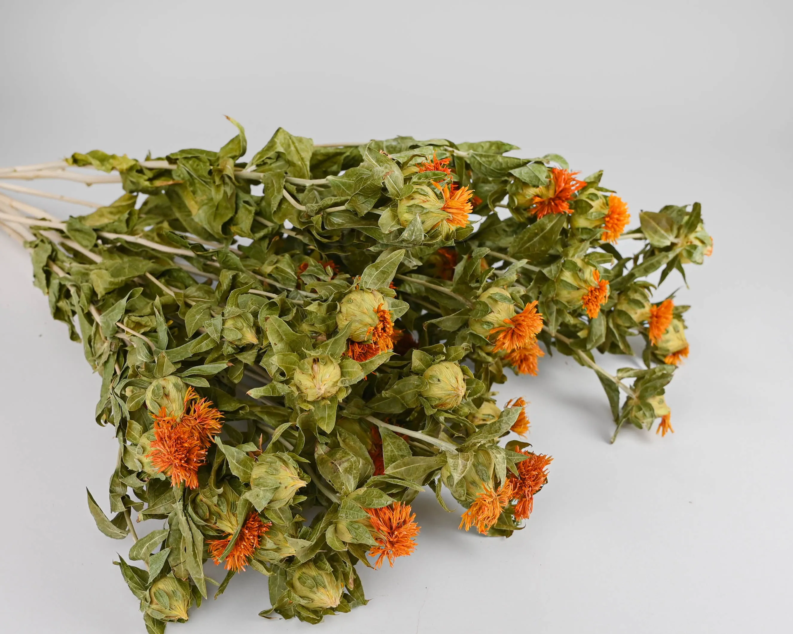 Dried Safflower bunches