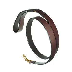 Plain Brown Leather Dog Lead by Pampeano