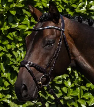 Rivere Snaffle Bridle Brown